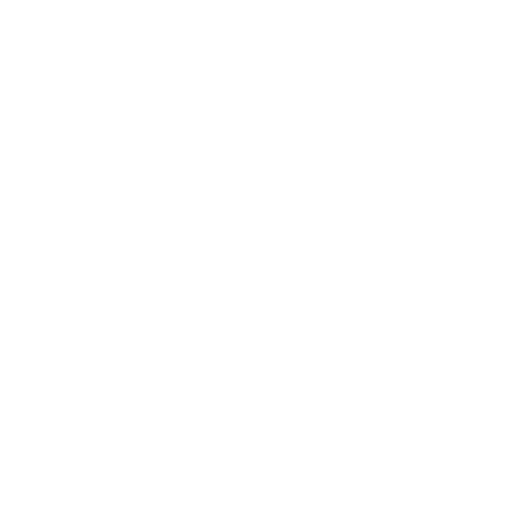 TAXI SEGURO
